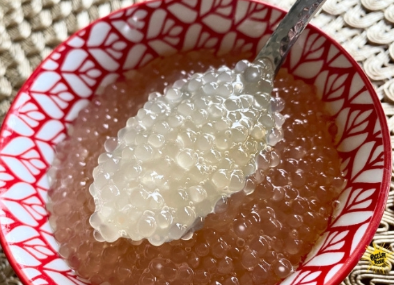 review-makanan-tapioca