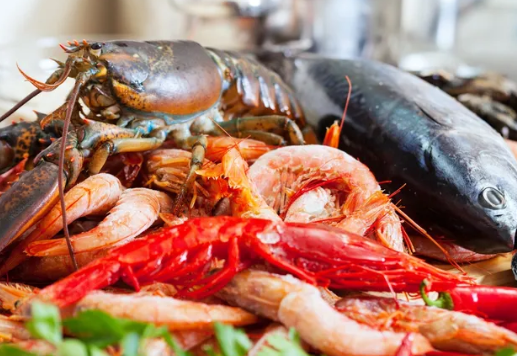 Review Makanan Seafood Segar Favorit Keluarga 2026